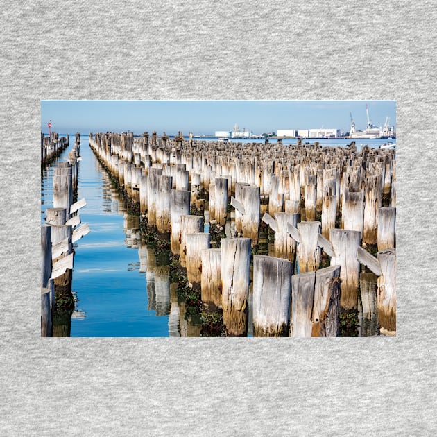 Wooden piles off Princess Pier, Melbourne. by sma1050